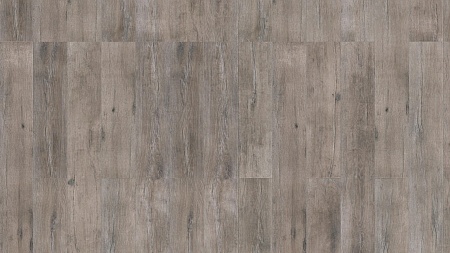 Brownshaded Elm 41120