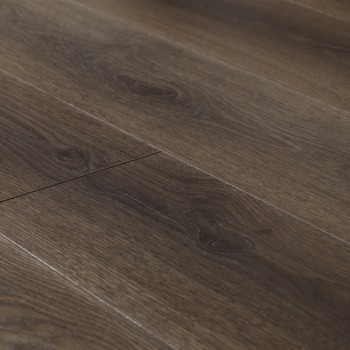 Дерево пустыни D3330