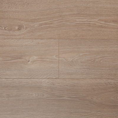 ID04962 Дуб Вояжер