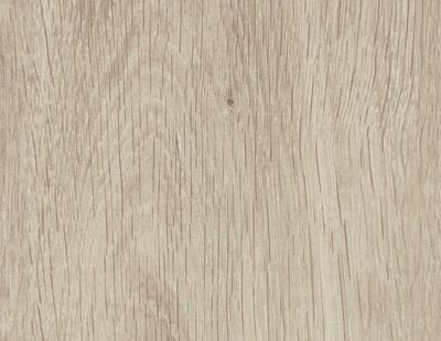 Дуб снежный