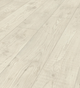 Каштан Новая Шотландия 5538