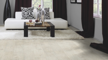 Каштан Новая Шотландия 5538