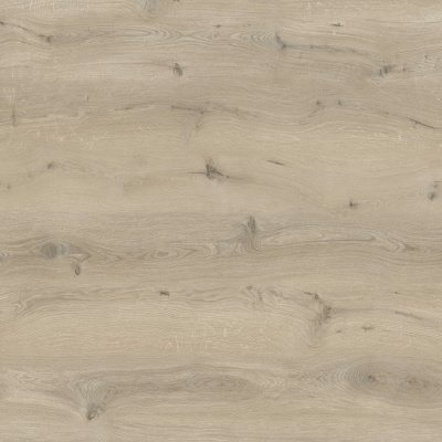 B1105 Gyant XL Light Natural