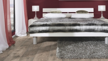 Каштан Рашмор 5536