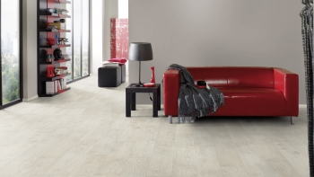 Каштан Новая Шотландия 5538