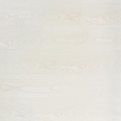 62001058 B6501 BW White