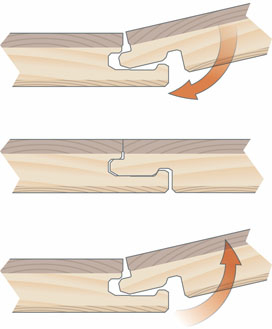 Дуб Светлый Шервуд
