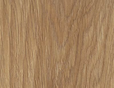 Дуб золотистый