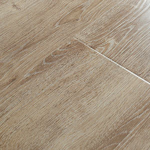 Дуб Манифик 12156