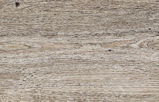 DE2161-19 Дуб Античный