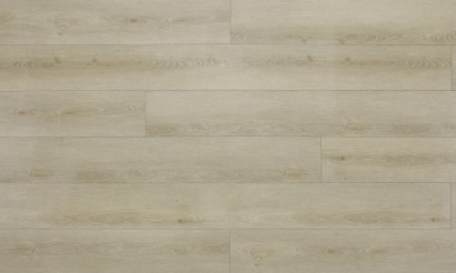 Елисейские поля 8541