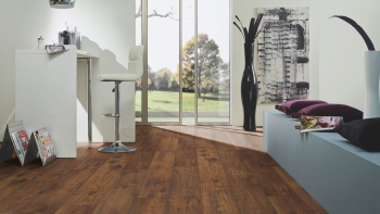 Каштан Бейкерсфилд 5539