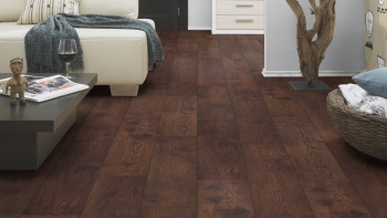 Каштан Античный 5535