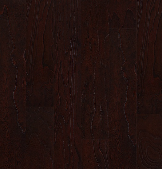 Вяз Elm Red