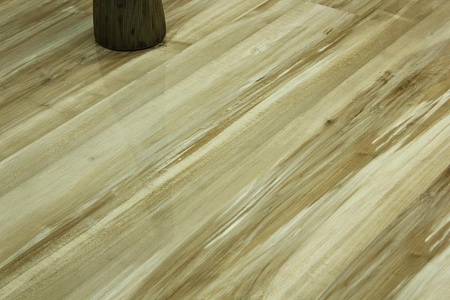 Клен канадский 75186