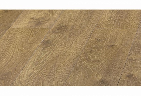 Дуб Гингер D 2026