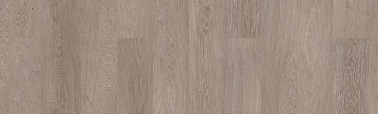 Дуб Шервуд северный 504044085