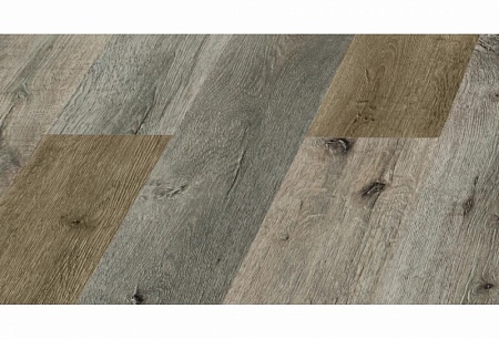 Дуб Шираз D 3878