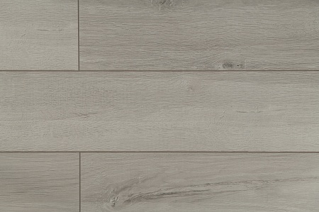 ID81 Дуб Вояж