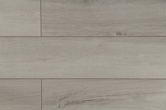 ID81 Дуб Вояж