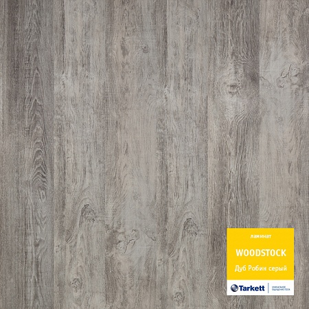 Дуб Робин Серый 504044116