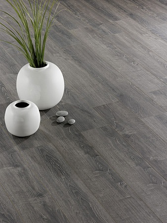 Дуб Джерси S626