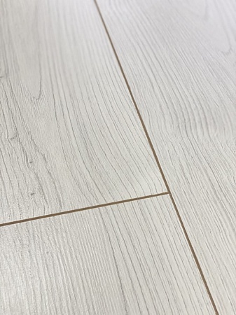 Дуб Лангруа