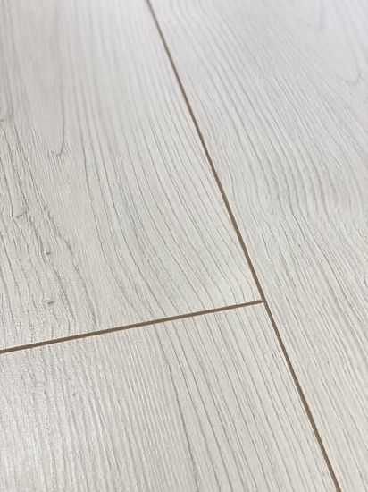 Дуб Лангруа