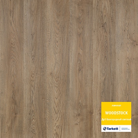 Дуб Благородный Светлый 504044115