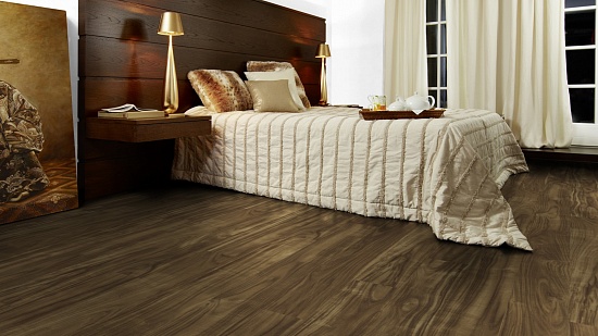 Акация Истсайд О430 HG