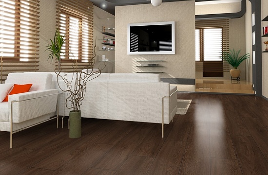 Дуб Таурус D4843