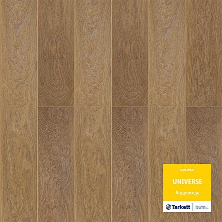 Андромеда 504421001