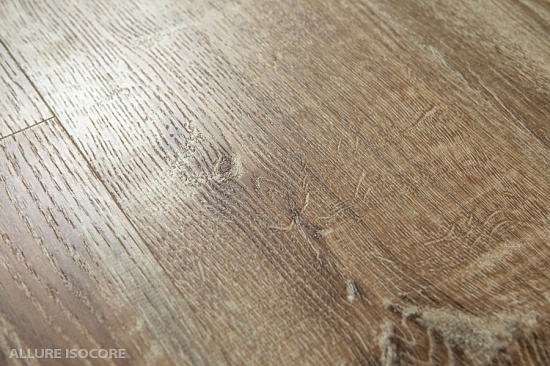 Дуб дымчатый I966101