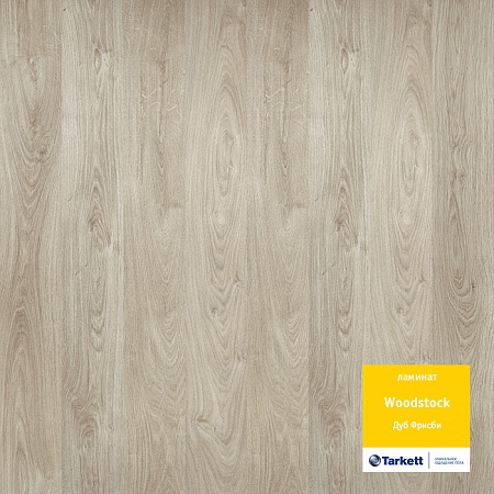 Дуб Фрисби 504044143