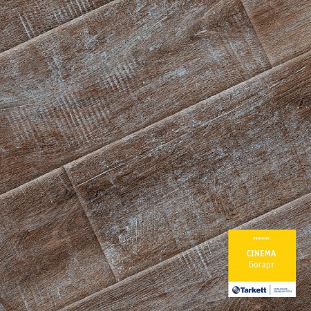 Богарт 504108030