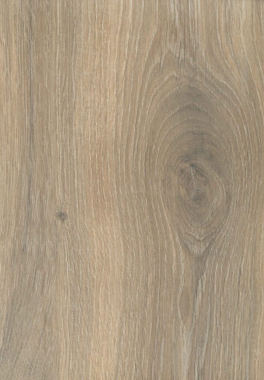 Дуб Таза O420