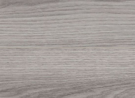 Платан Impresion D 3334