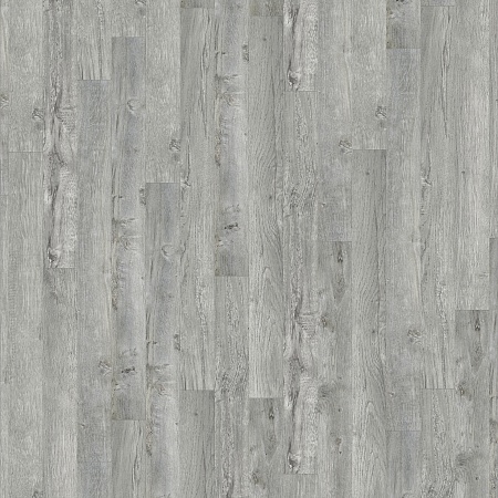 Пикассо 504425019