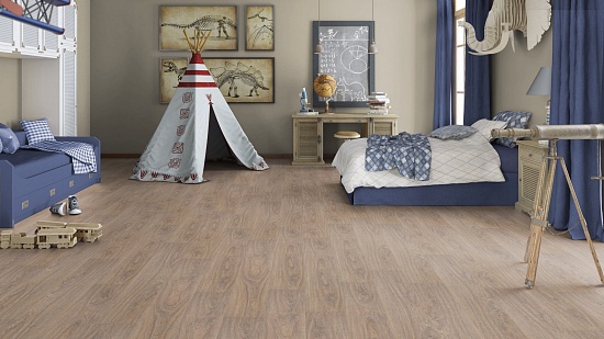 Кассиопея 504421000