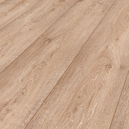 Дуб Альпийский 8199