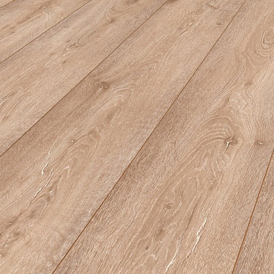 Дуб Альпийский 8199