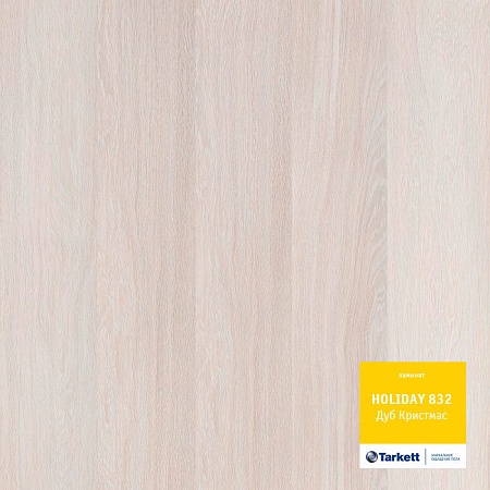 Дуб Кристмас 504022054