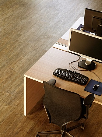 Сосна Парма FF-1583