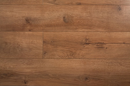 Дуб челини ID 61