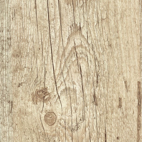 Сосна Беленая F122