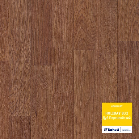 Дуб пиренейский 504022057