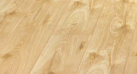 Дуб Карри D 3483