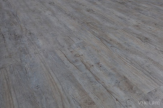 Дуб Льеж 10-015