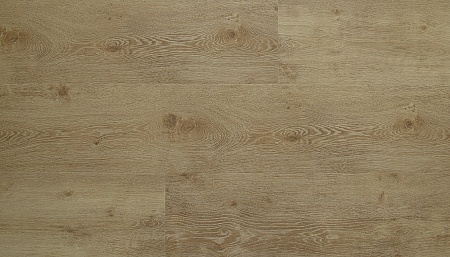 Дуб Ренессанс 12153