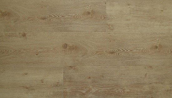 Дуб Ренессанс 12153